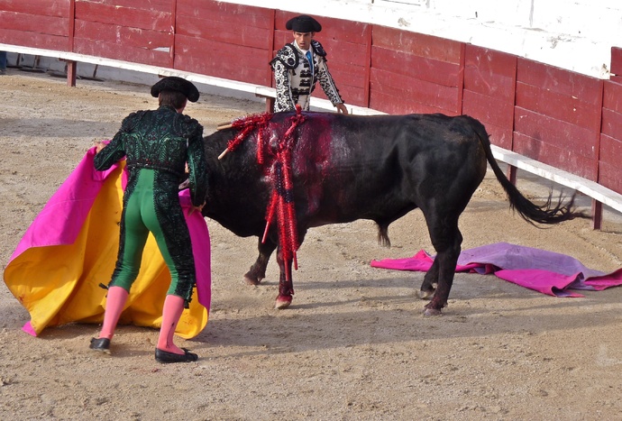 Rui Fernandes\\\' Bull Dying 9