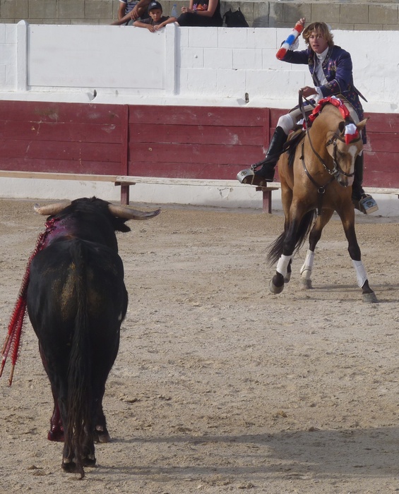 Rui Fernandes\\\' Bull