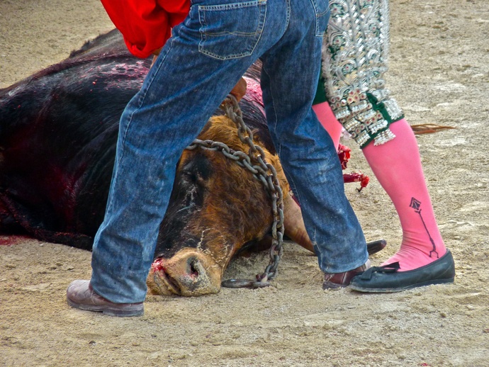 Sergio Galán\\\'s Bull Dead 3
