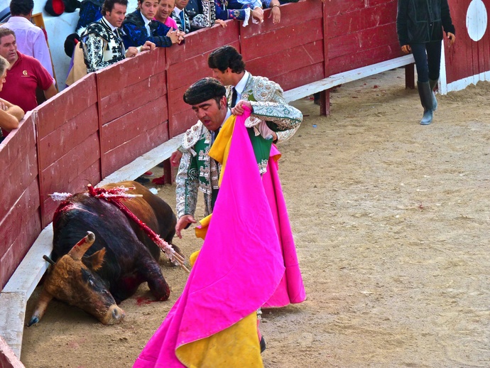 Sergio Galán\\\'s Bull Dead 4