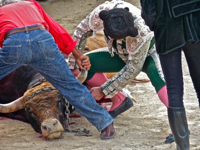 Sergio Galán\\\'s Bull Dead 7