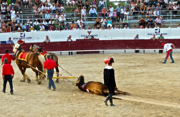 Sergio Galán\\\'s Bull Dead 9