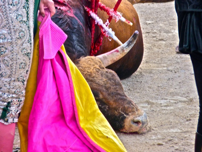 Sergio Galán\\\'s Bull Dead