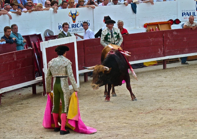Sergio Galán\\\'s Bull Dying 4