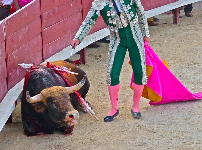 Sergio Galán\\\'s Bull Dying 7