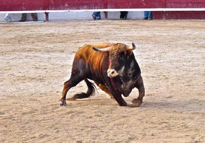 Sergio Galán\\\'s Bull Falls 2