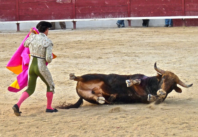 Sergio Galán\\\'s Bull Falls