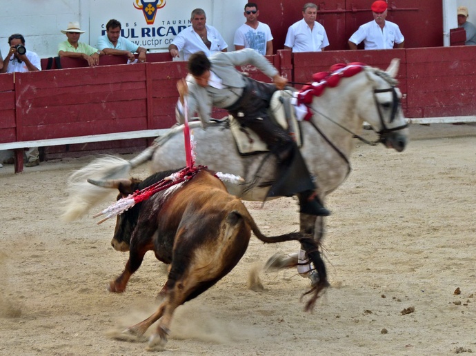 Sergio Galán\\\'s Bull Struck