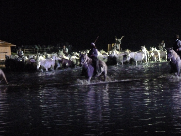 Songe D\\\'un Nuit en Camargue 15