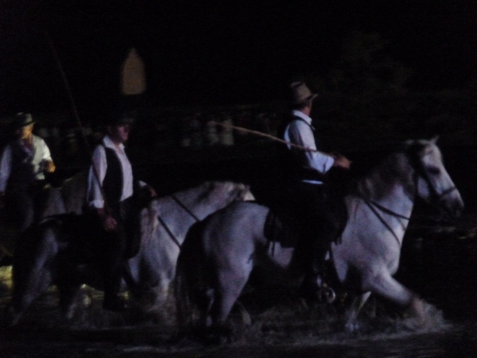Songe D\\\'un Nuit en Camargue 4