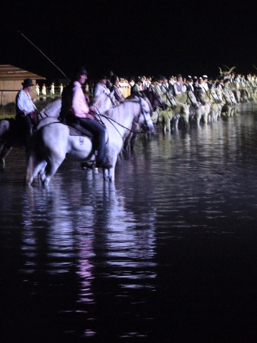 Songe D\\\'un Nuit en Camargue 8