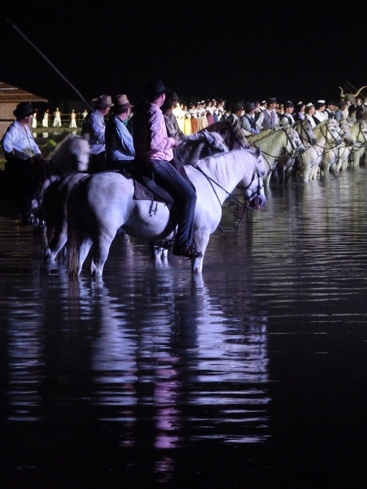 Songe D\\\'un Nuit en Camargue 9