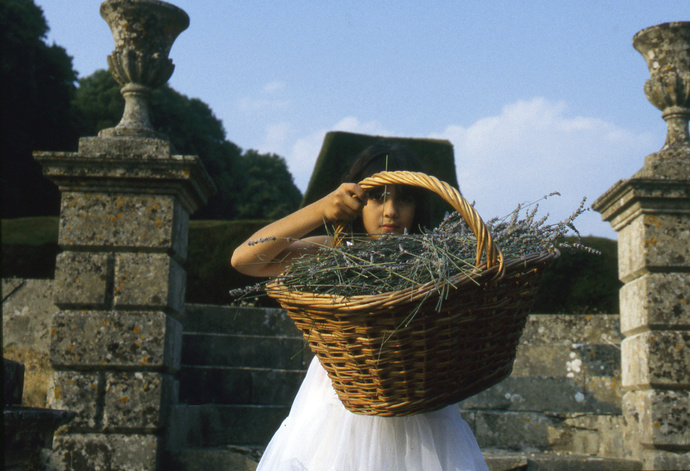 Sophie with Lavender Hatch