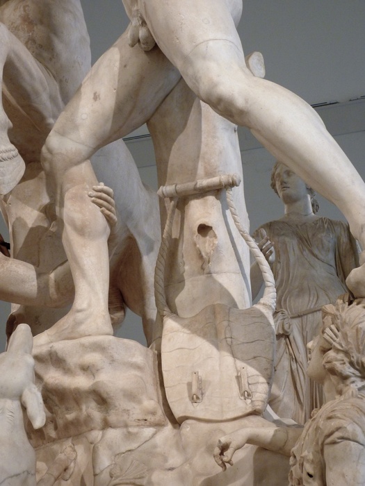 The Farnese Bull 13
