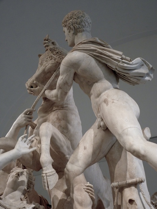 The Farnese Bull 2
