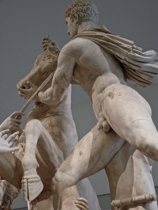 The Farnese Bull Amphion 3