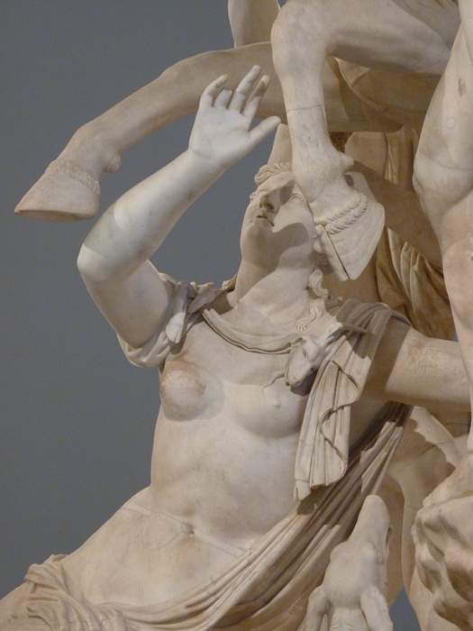 The Farnese Bull Dirce 6