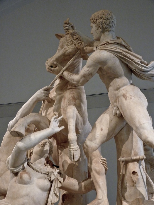 The Farnese Bull the Myth
