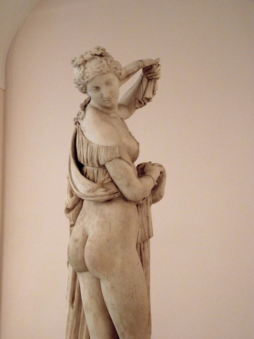 Venus Callipygus 14