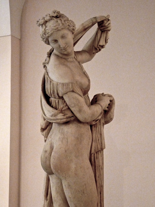Venus Callipygus 3
