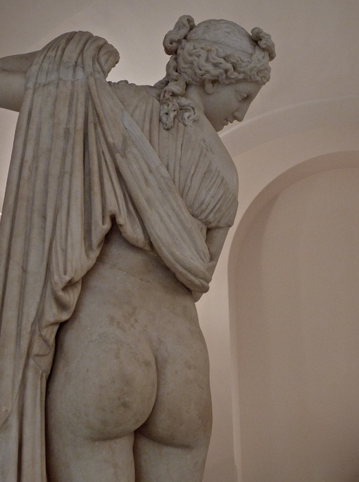 Venus Callipygus 5