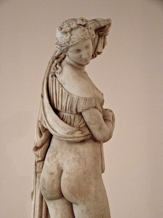 Venus Callipygus 7