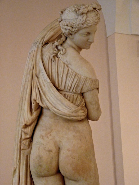 Venus Callipygus 8