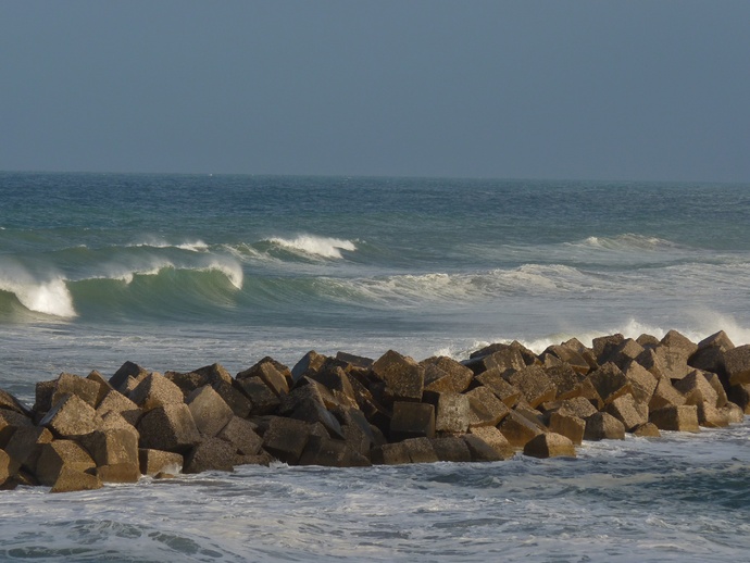 Wild Tyrrhenian Sea 3