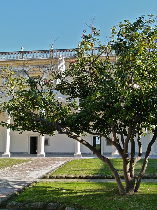 Chiostro Grande Madonna 3