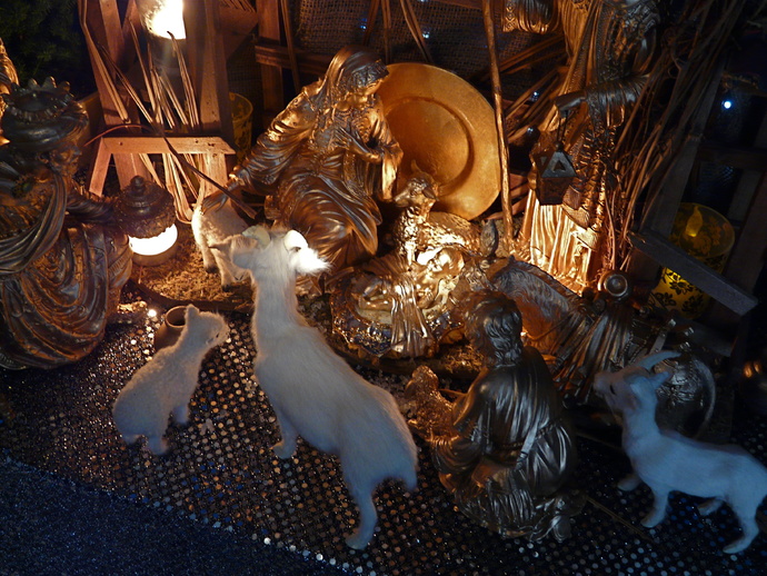 Nativity 5