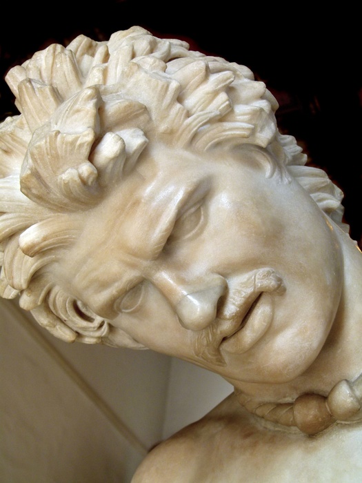 The Dying Gaul 2