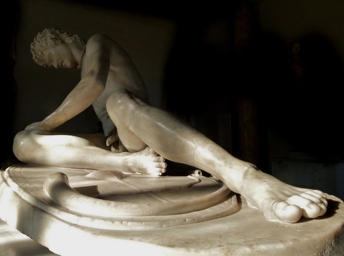 The Dying Gaul 8