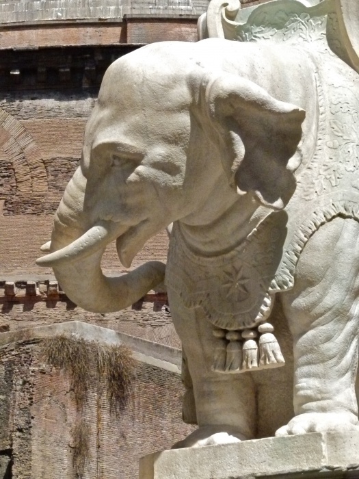L’elefantino di Bernini 23